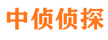 城子河市场调查